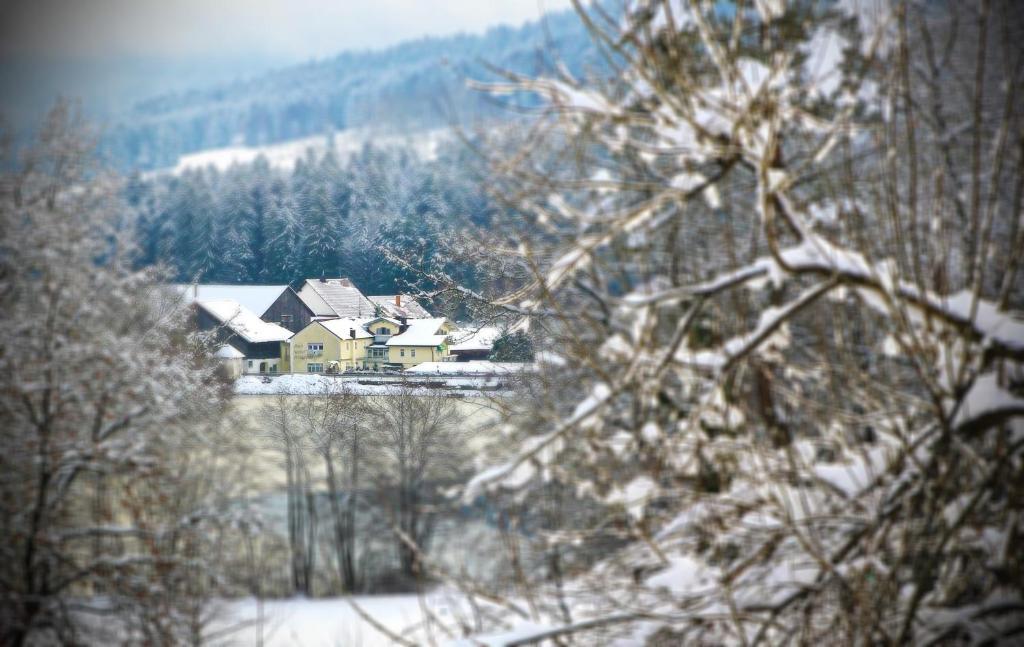 Hotel Der Seehof Hauzenberg Esterno foto