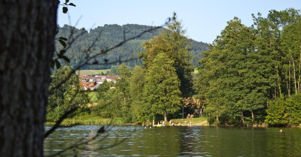 Hotel Der Seehof Hauzenberg Esterno foto